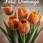 feliz domingo que tengas un domingo maravilloso