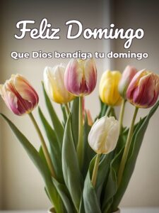 Frases de feliz día domingo para celular