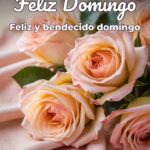 feliz domingo feliz y bendecido domingo