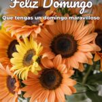 feliz domingo que tengas un domingo maravilloso