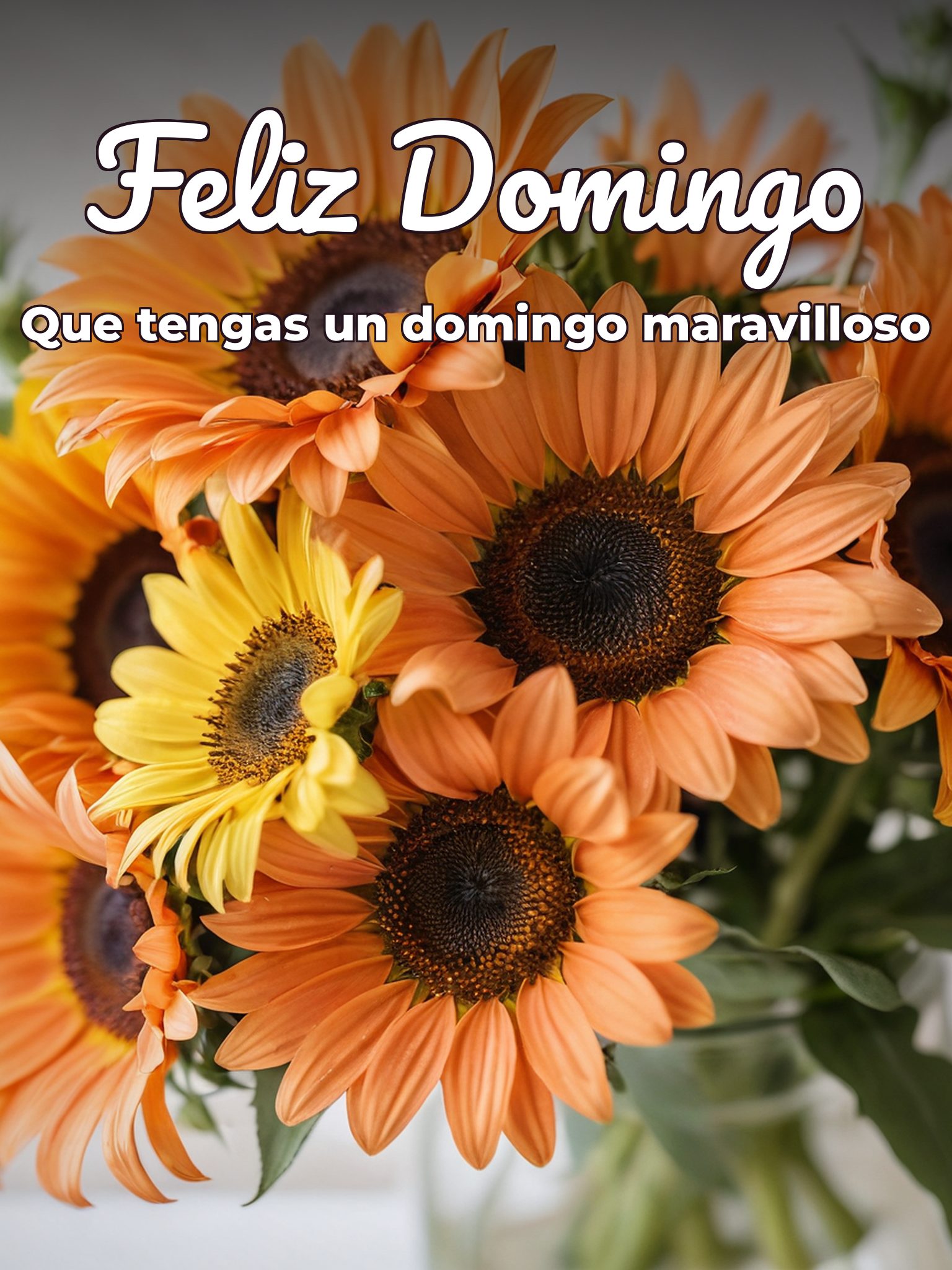 Frases de feliz domingo para todos para celular