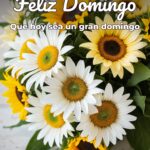 feliz domingo que hoy sea un gran domingo