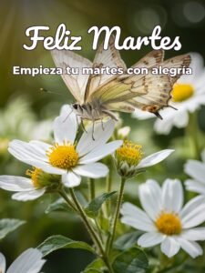 Frases de feliz martes para descargar gratis para celular