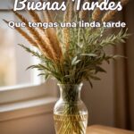 buenas tardes que tengas una linda tarde