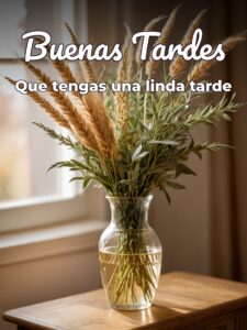Frases de feliz tarde para WhatsApp celular