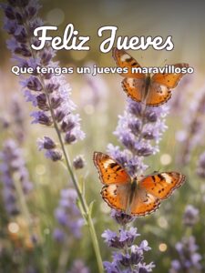 Frases de hoy jueves para Facebook