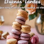 buenas tardes que tengas una tarde preciosa, mi vida