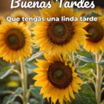 buenas tardes que tengas una linda tarde