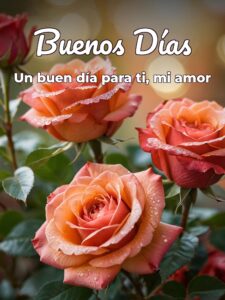 Frases de los buenos días para mi amor para descargar