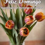 feliz domingo que tengas un domingo maravilloso
