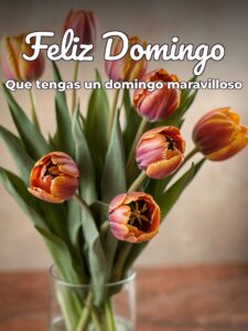 Frases del día domingo para celular