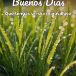 buenos días que tengas un día maravilloso