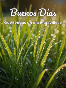 Frases dr buenos días para descargar