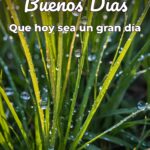 buenos días que hoy sea un gran día