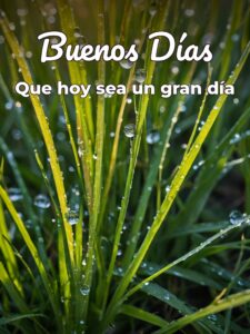 Frases dr buenos días para WhatsApp