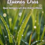 buenos días que tengas un día maravilloso