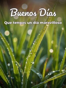 Frases e imágenes de buenos días para Facebook