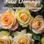 feliz domingo feliz y bendecido domingo