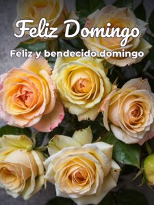 Frases e imágenes de domingo para celular