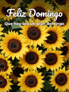 Frases feliz domingo para todos para WhatsApp