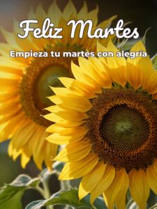 Frases feliz martes para WhatsApp gratis para celular