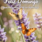 feliz domingo que hoy sea un gran domingo