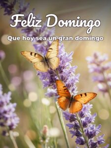 Frases graciosas de domingo para celular