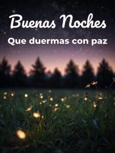 Frases hermosas buenas noches