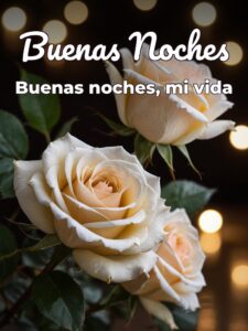 Frases hermosas de buenas noches para mi amor para celular