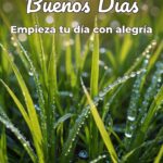 buenos días empieza tu día con alegría