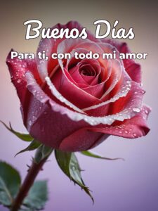 Frases hermosas de buenos días para mi amor para descargar