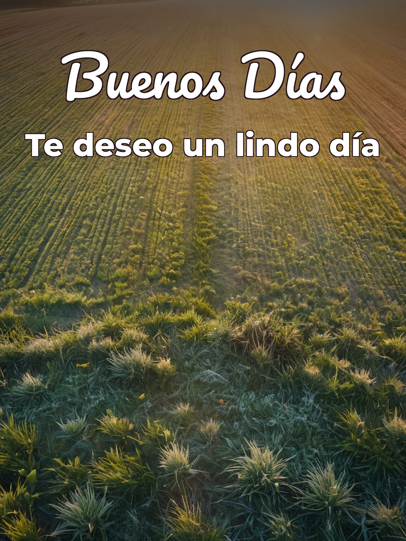 Frases hermosas de buenos días para una amiga
