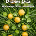 buenos días que tengas un día maravilloso