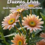 buenos días que tengas un día maravilloso