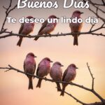 buenos días te deseo un lindo día