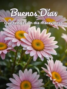 Frases lindas d buenos días para una amiga