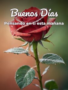 Frases lindas de amor de buenos días para celular