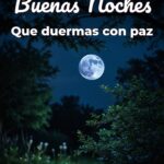 buenas noches que duermas con paz