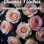 buenas noches buenas noches, mi vida