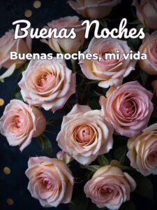 Frases lindas de buenas noches amor para celular
