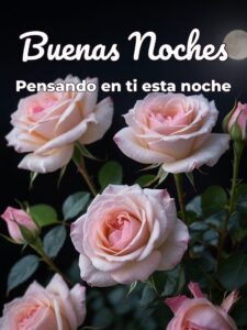Frases lindas de buenas noches mi amor