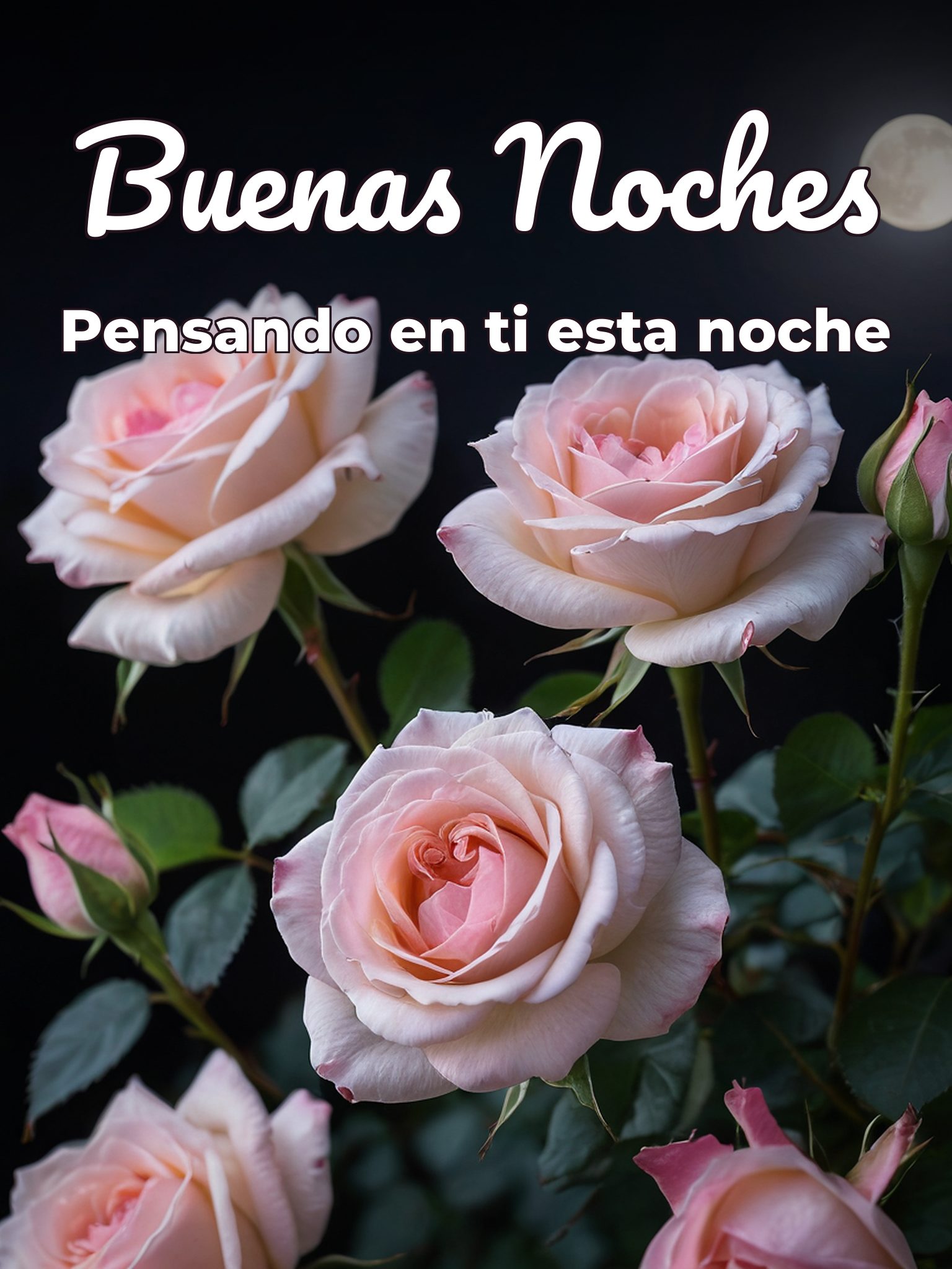 Frases lindas de buenas noches mi amor