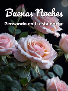 Frases lindas de buenas noches para mi novia