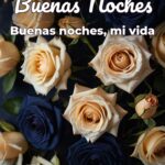 buenas noches buenas noches, mi vida