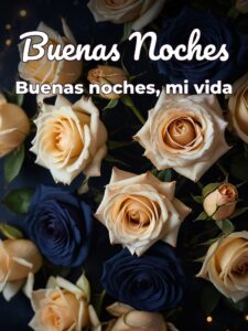 Frases lindas de buenas noches para mi novia para Facebook
