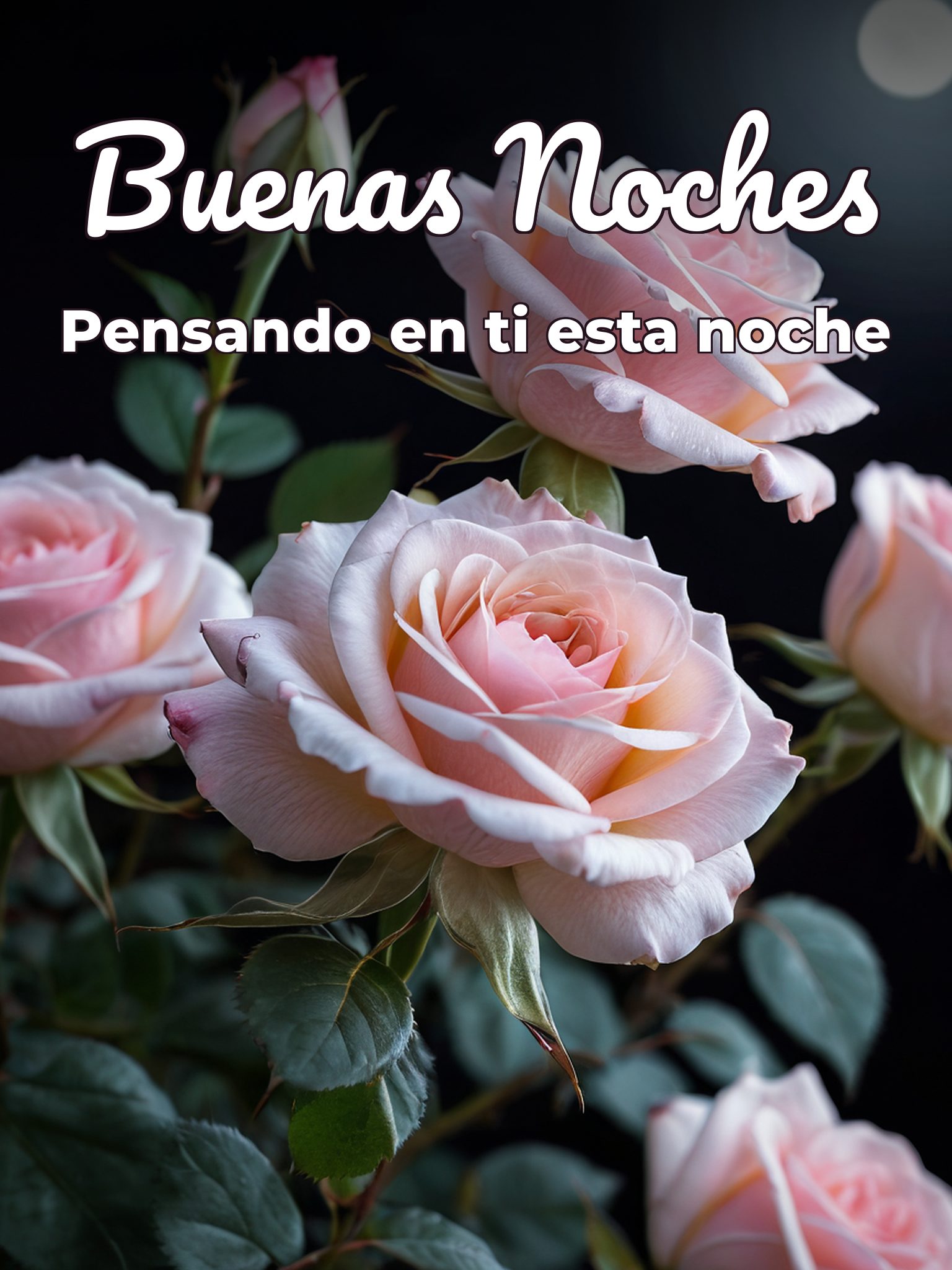 Frases lindas de buenas noches para mi novia