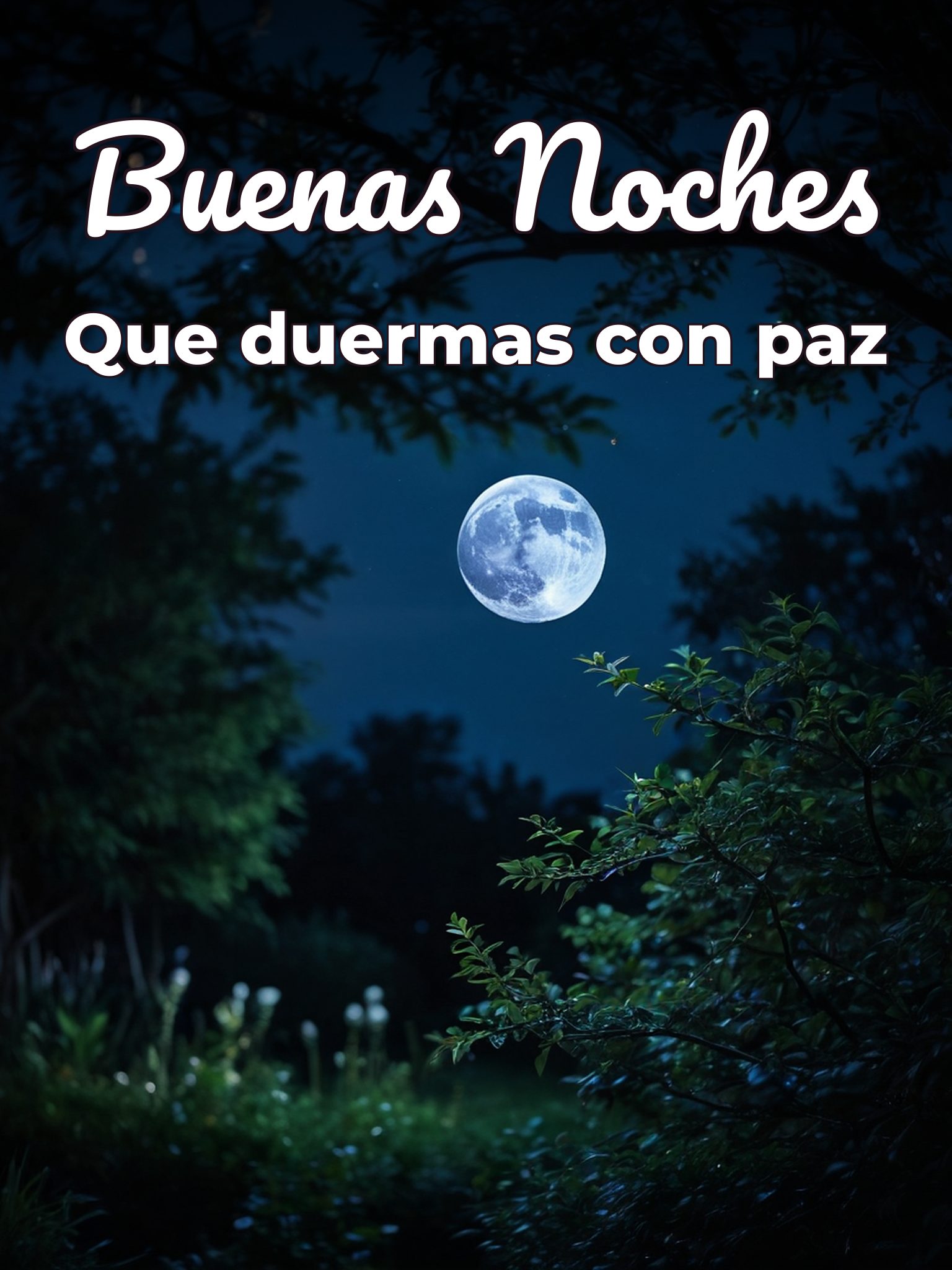 Frases lindas de buenas noches