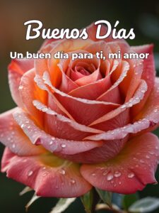 Frases lindas de buenos días amor para celular