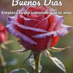 buenos días empieza tu día sabiendo que te amo
