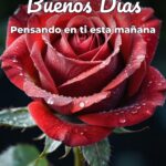 buenos días pensando en ti esta mañana